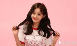 白鹿黑粉爆料视频大全最新,视频大全背后的真相与争议