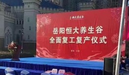 岳阳养生谷最新爆料消息,揭秘隐世养生秘境的奢华与宁静