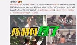 秦皇岛出轨爆料案件最新,真相与舆论的漩涡